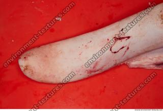 Photo Textures of RAW Pork Meat